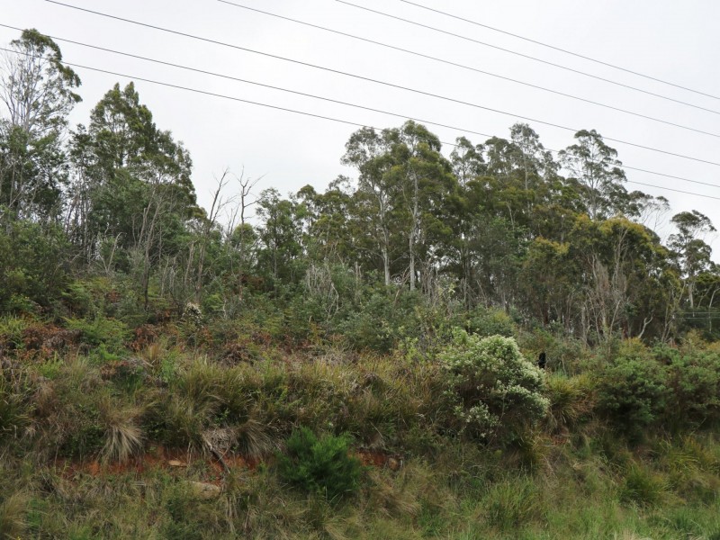 Lot 1 Esk Main Road, St Marys TAS 7215