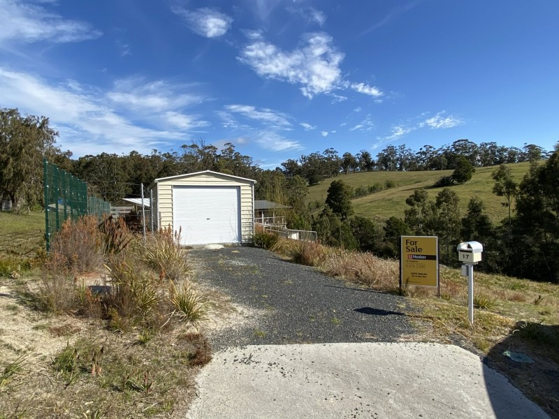 17 Douglas Court, St Helens TAS 7216