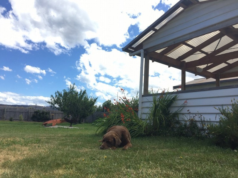 13 Tully Street, St Helens TAS 7216