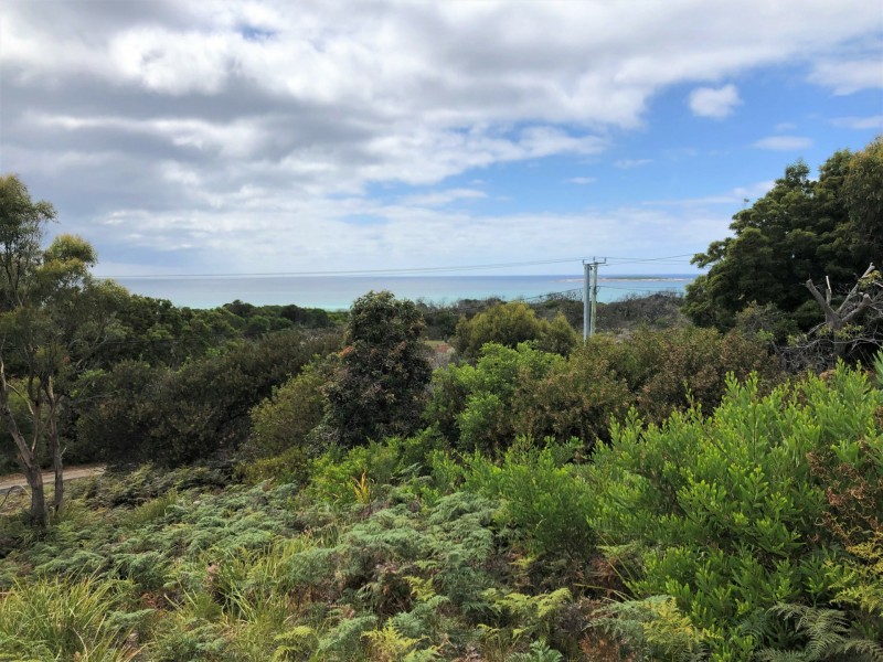 24307 B Tasman Highway, St Helens TAS 7216