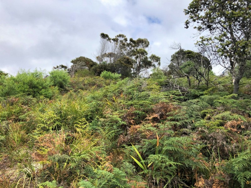 24307 B Tasman Highway, St Helens TAS 7216