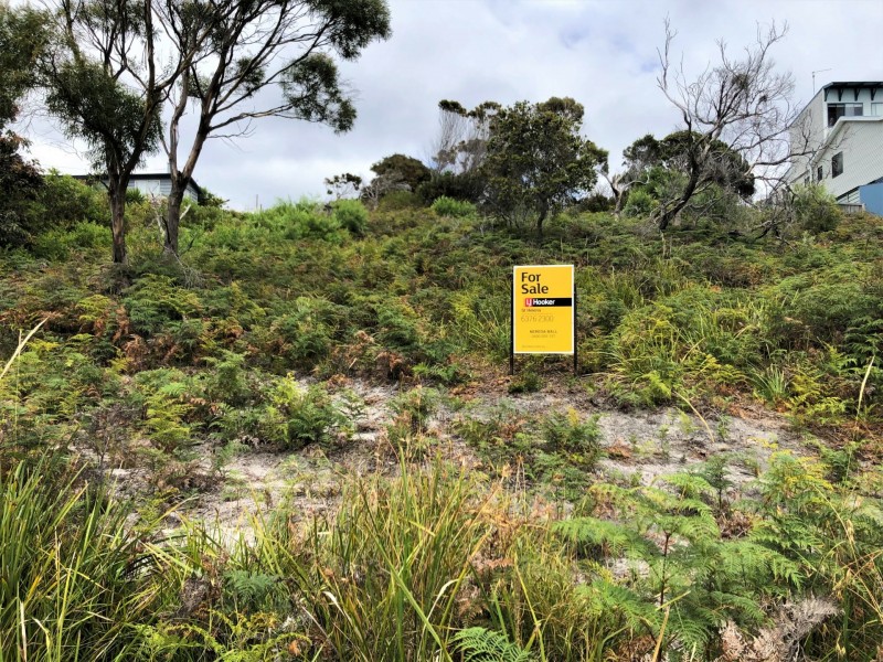 24307 B Tasman Highway, St Helens TAS 7216