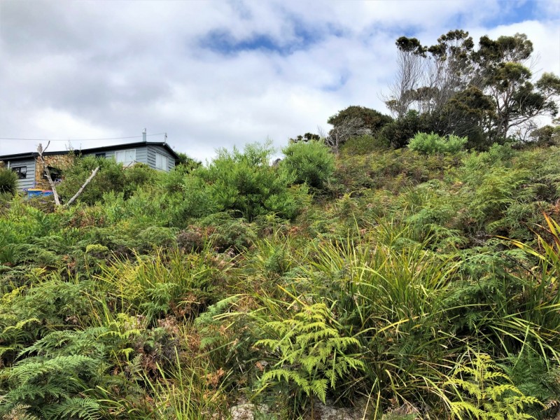 24307 B Tasman Highway, St Helens TAS 7216