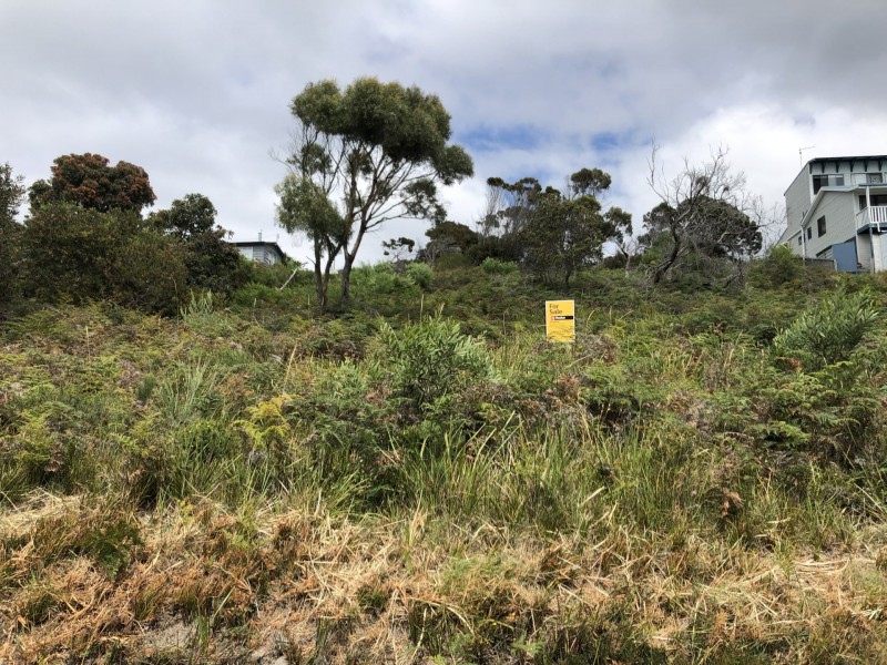 24307 B Tasman Highway, St Helens TAS 7216