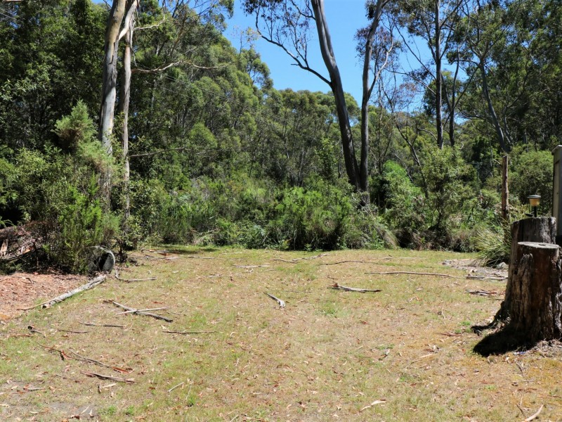 24665 Tasman Highway, St Helens TAS 7216