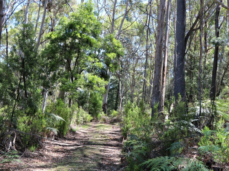 24665 Tasman Highway, St Helens TAS 7216