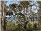 205 Binalong Bay Road, St Helens TAS 7216