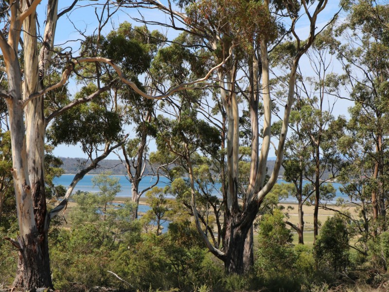 205 Binalong Bay Road, St Helens TAS 7216