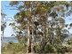 205 Binalong Bay Road, St Helens TAS 7216