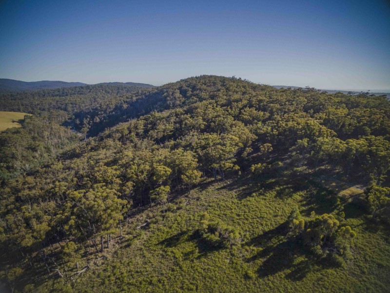 205 Binalong Bay Road, St Helens TAS 7216