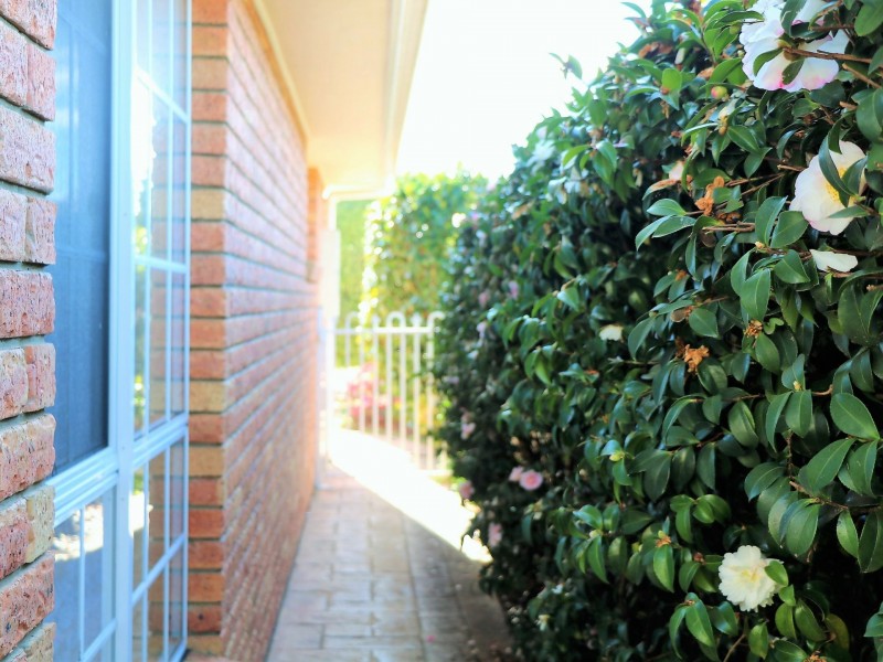 4 Nautilus Place, St Helens TAS 7216