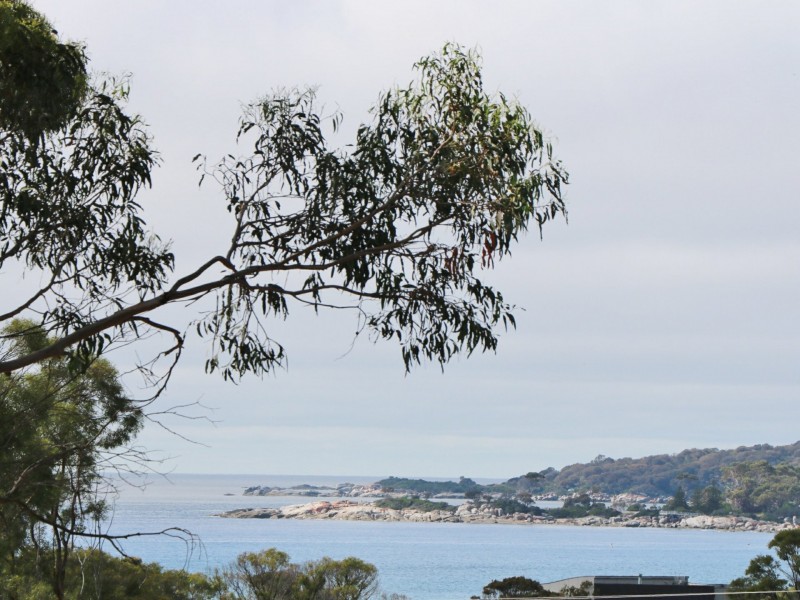 39 Lyall Road, Binalong Bay TAS 7216