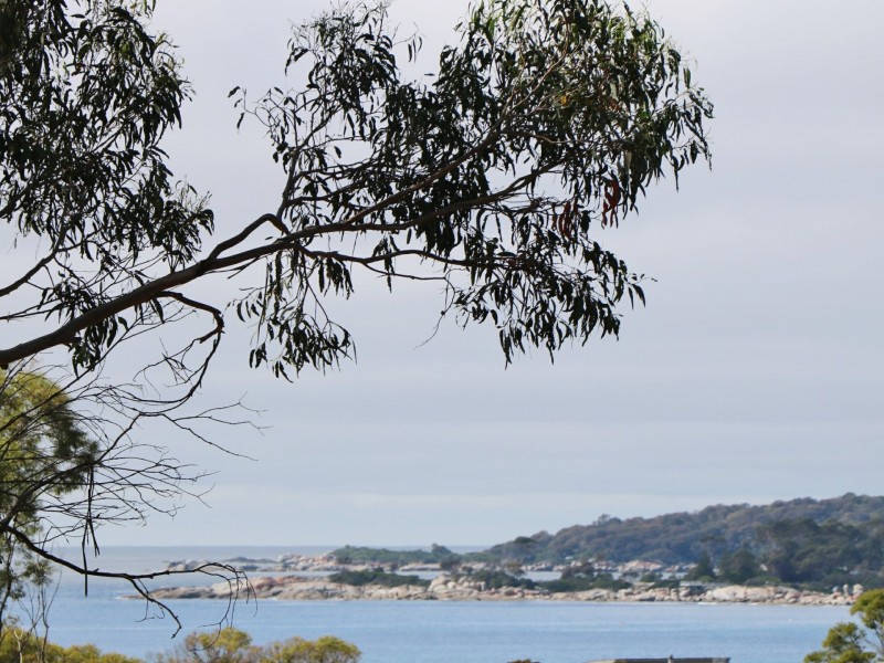 39 Lyall Road, Binalong Bay TAS 7216