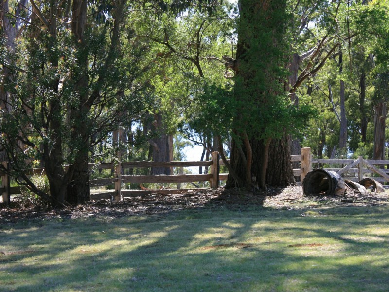 441 Binalong Bay Road, St Helens TAS 7216