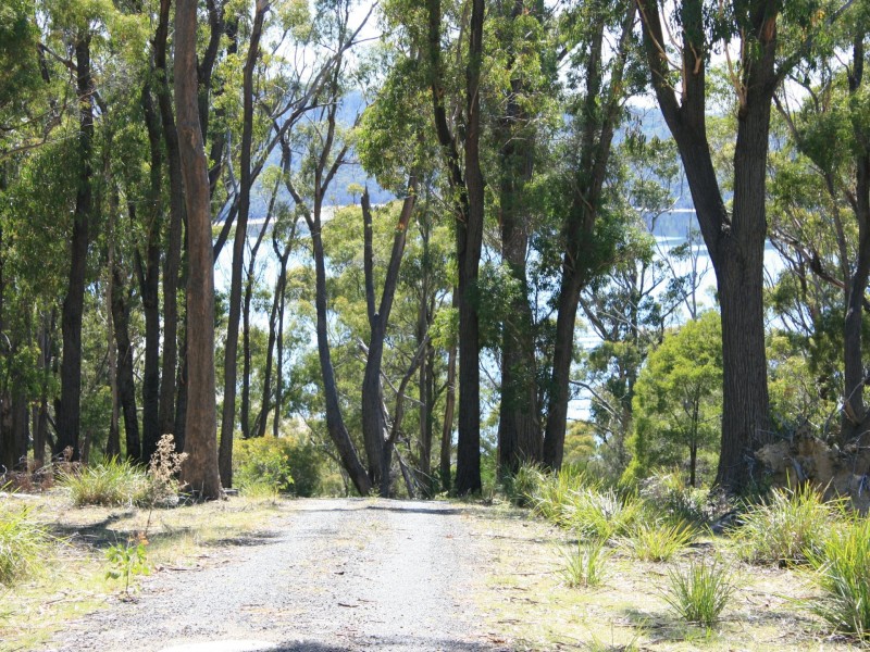 441 Binalong Bay Road, St Helens TAS 7216