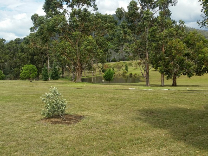 21506 Tasman Highway, Four Mile Creek TAS 7215