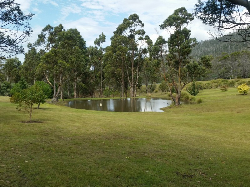 21506 Tasman Highway, Four Mile Creek TAS 7215