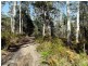 1477 Terryvale Road, Goshen TAS 7216