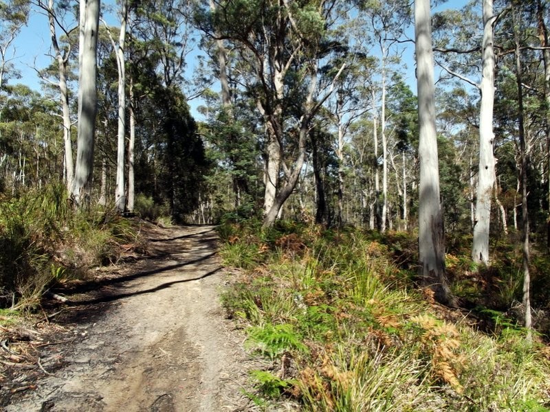 1477 Terryvale Road, Goshen TAS 7216