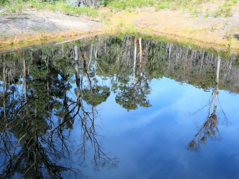 1477 Terryvale Road, Goshen TAS 7216