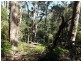 1477 Terryvale Road, Goshen TAS 7216