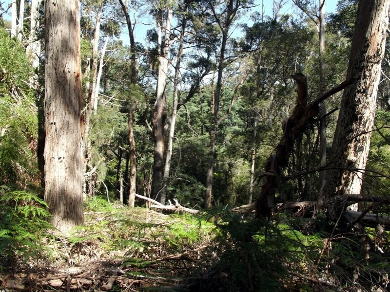 1477 Terryvale Road, Goshen TAS 7216
