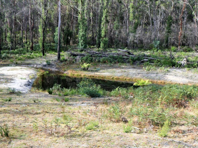 1477 Terryvale Road, Goshen TAS 7216
