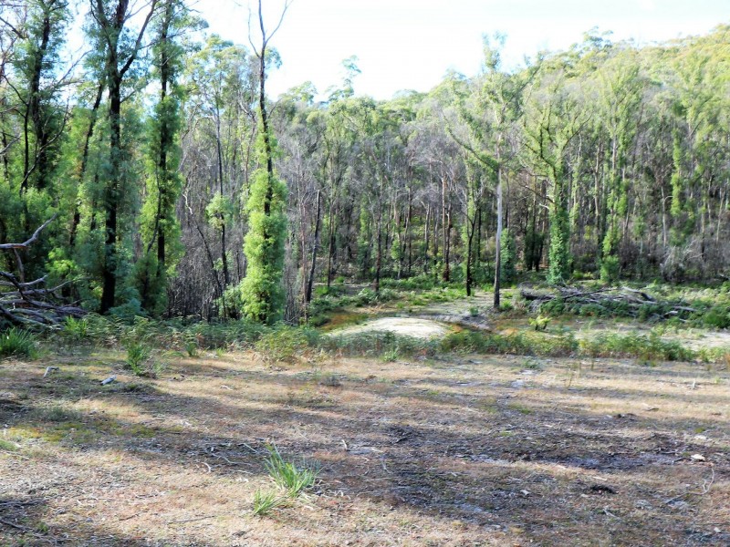 1477 Terryvale Road, Goshen TAS 7216