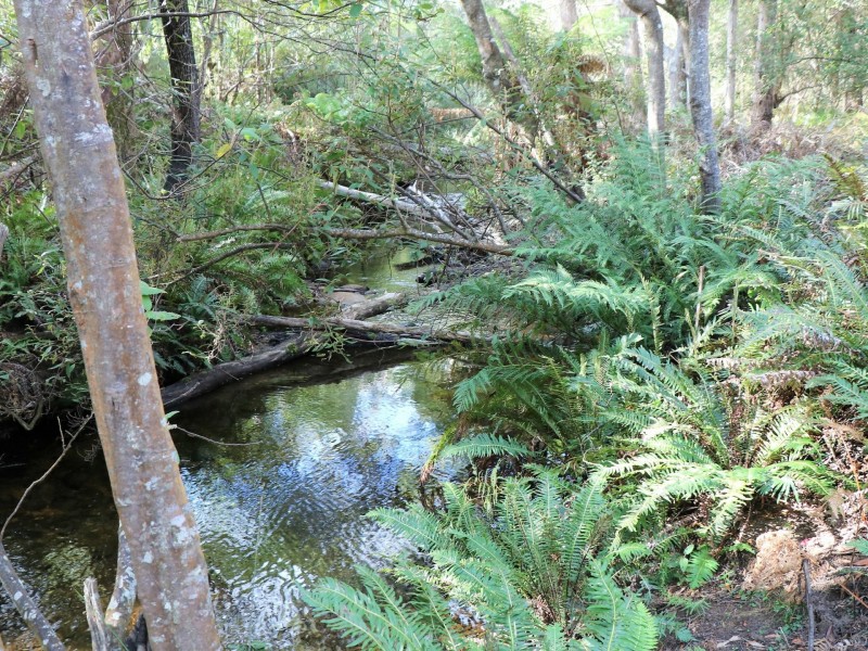 1477 Terryvale Road, Goshen TAS 7216