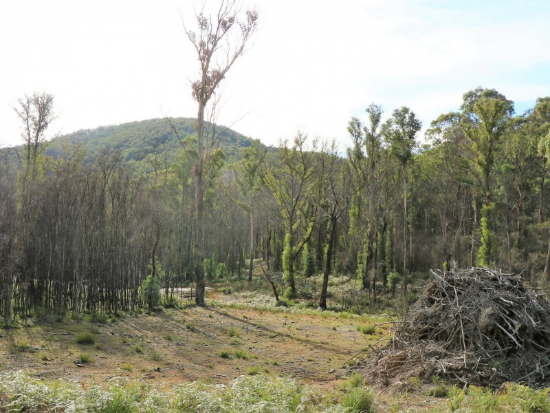 1477 Terryvale Road, Goshen TAS 7216