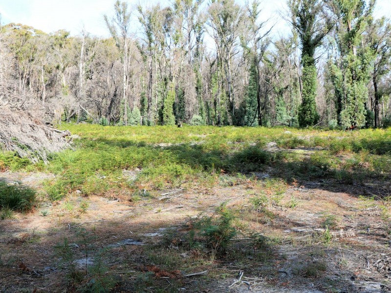 1477 Terryvale Road, Goshen TAS 7216