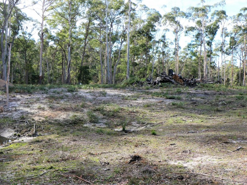 1477 Terryvale Road, Goshen TAS 7216