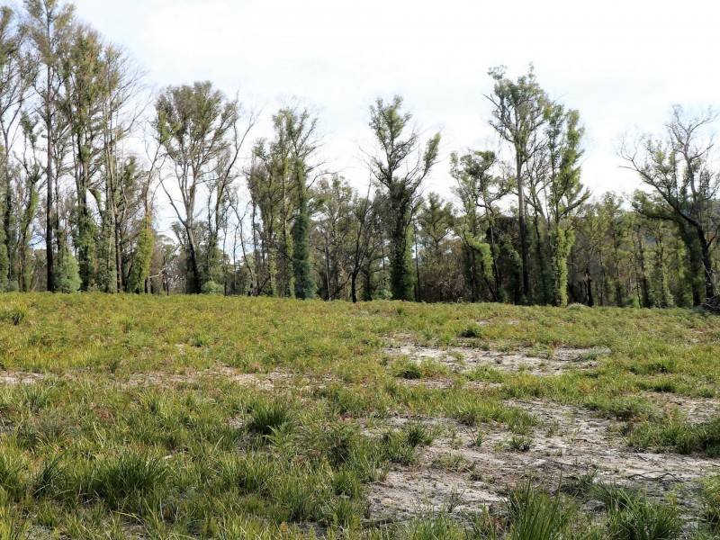 1477 Terryvale Road, Goshen TAS 7216