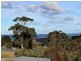 17 Thomas Street, Scamander TAS 7215