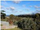 17 Thomas Street, Scamander TAS 7215