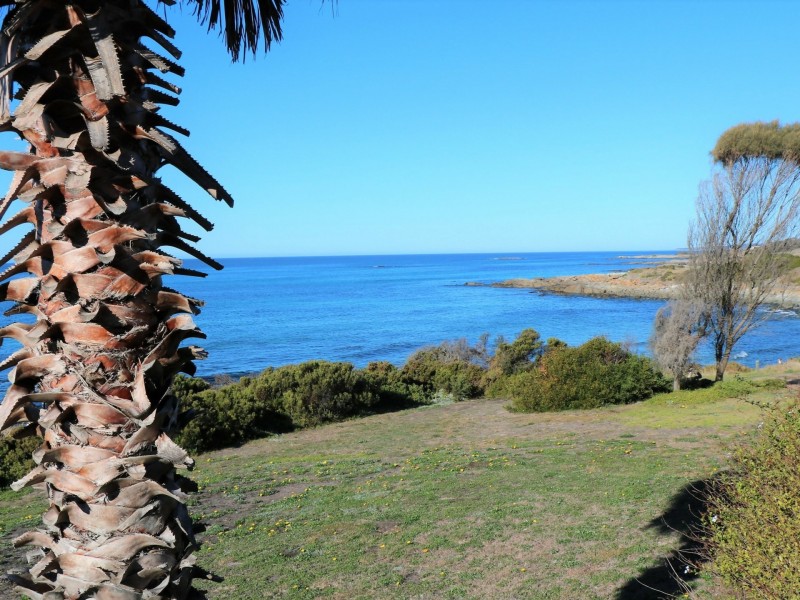 55 Franks Street, Falmouth TAS 7215