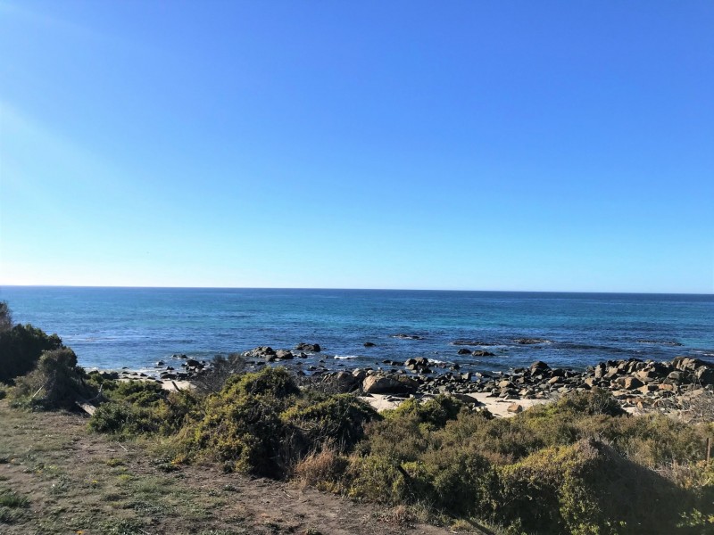 55 Franks Street, Falmouth TAS 7215