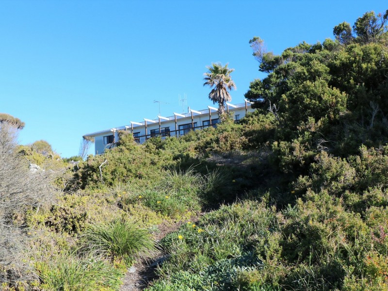 55 Franks Street, Falmouth TAS 7215