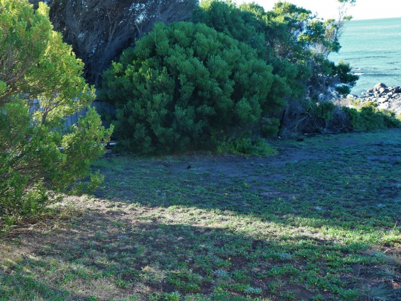 55 Franks Street, Falmouth TAS 7215