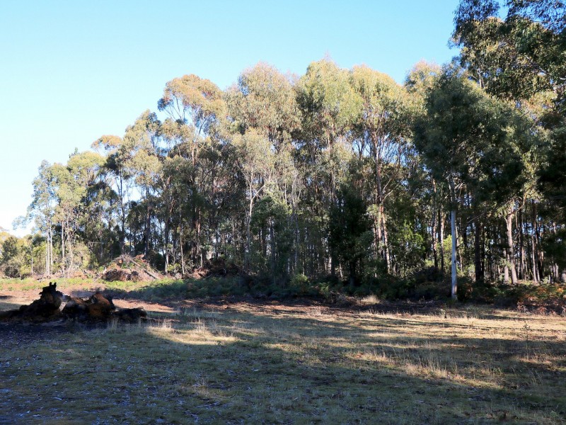 353 Germantown Road, St Marys TAS 7215