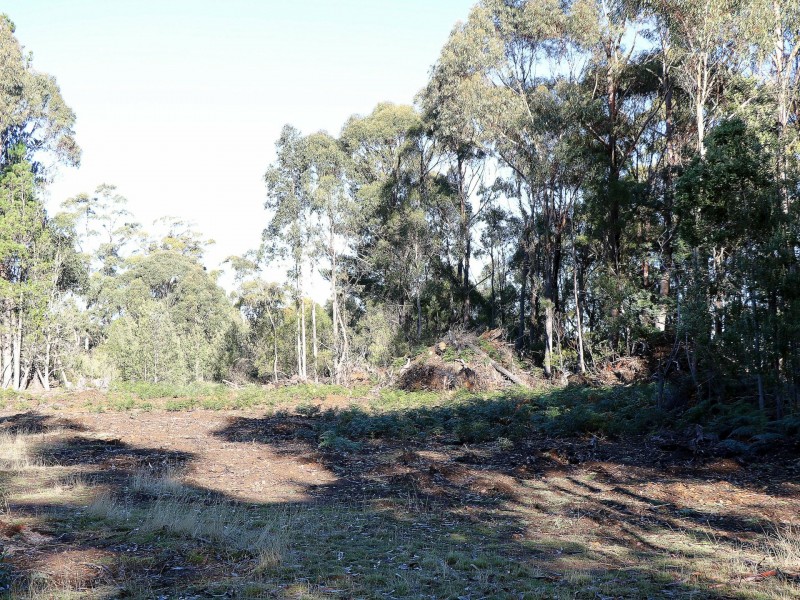 353 Germantown Road, St Marys TAS 7215