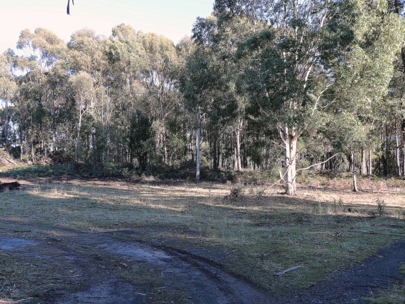 353 Germantown Road, St Marys TAS 7215