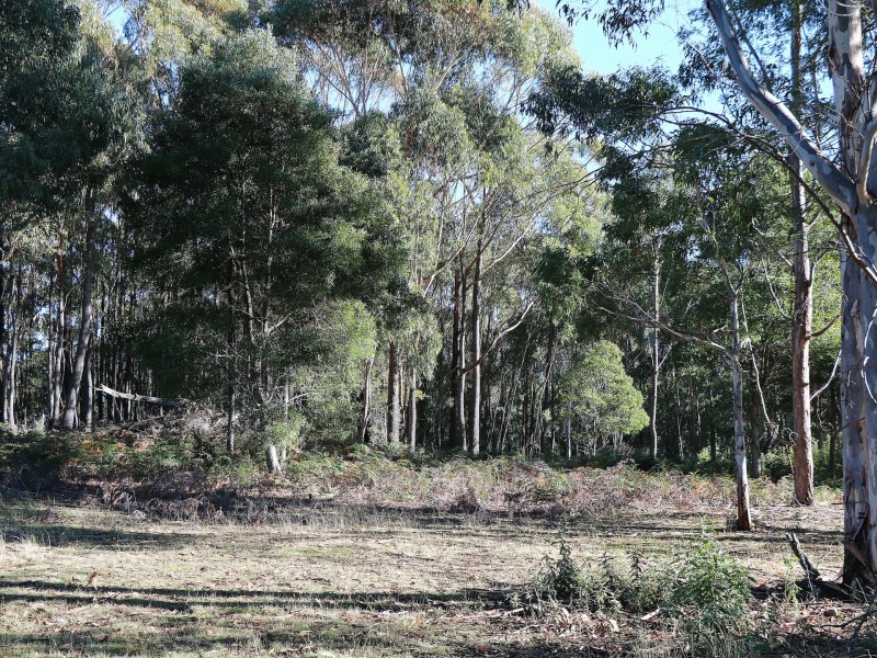 353 Germantown Road, St Marys TAS 7215