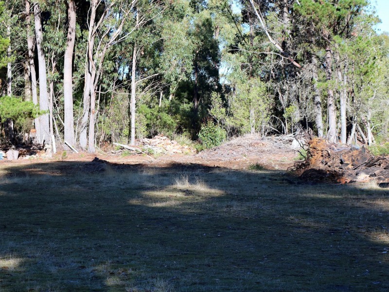 353 Germantown Road, St Marys TAS 7215