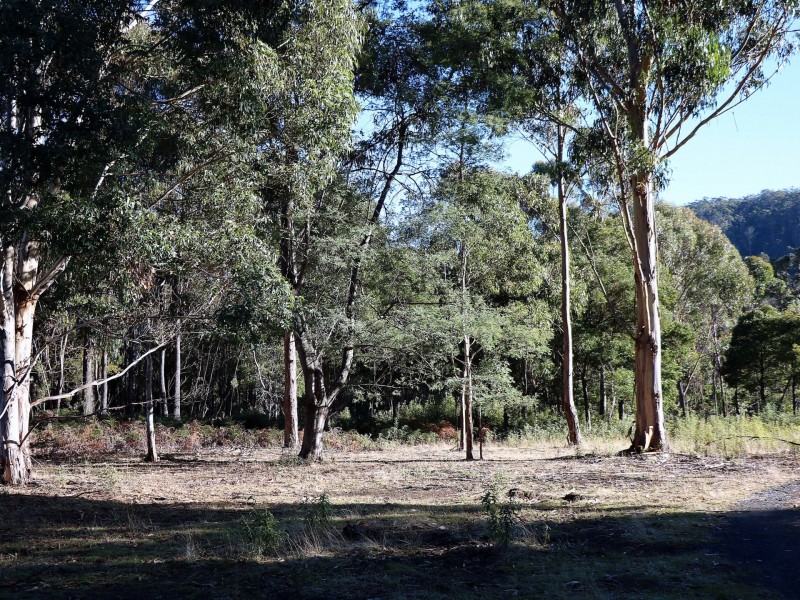 353 Germantown Road, St Marys TAS 7215