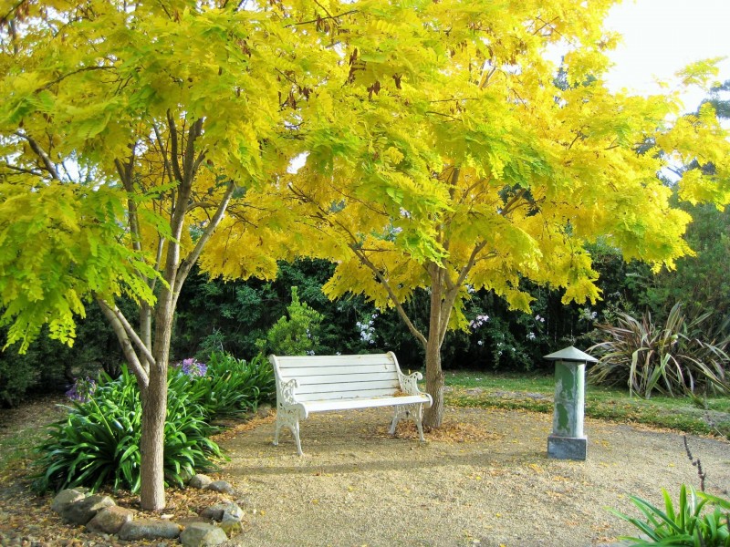 108 Grant Street, Falmouth TAS 7215