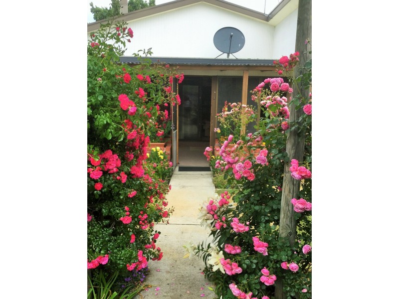 26 Tully Street, St Helens TAS 7216