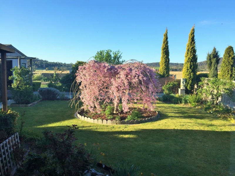 26 Tully Street, St Helens TAS 7216