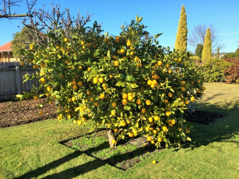 26 Tully Street, St Helens TAS 7216