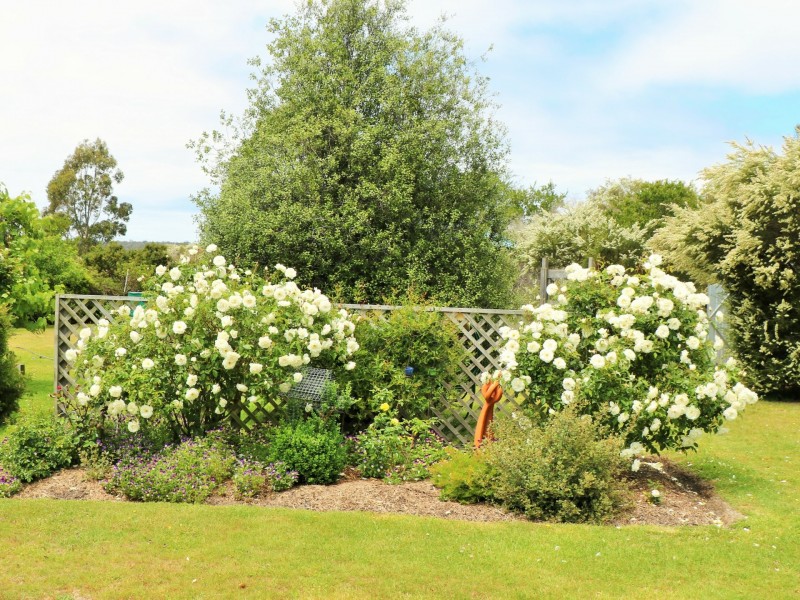 5 Bay Close, St Helens TAS 7216